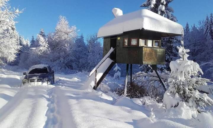 Apartman Gomirje Vrbovsko Buitenkant foto