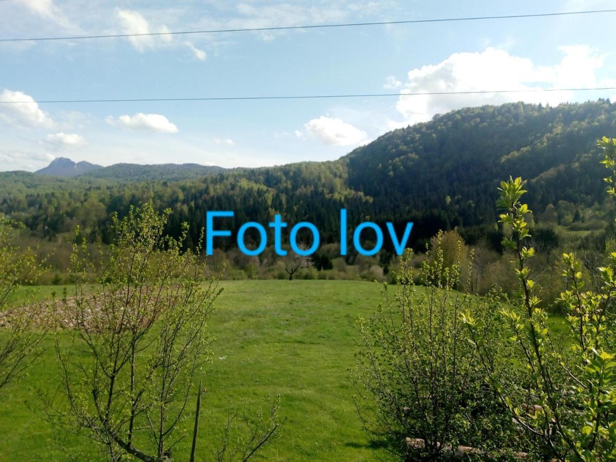 Apartman Gomirje Vrbovsko Buitenkant foto