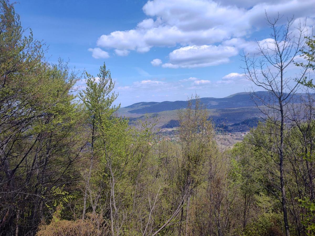 Apartman Gomirje Vrbovsko Buitenkant foto