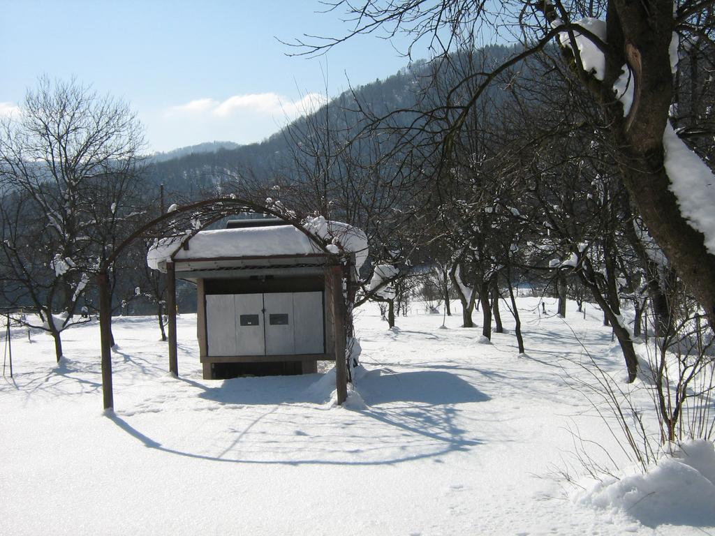 Apartman Gomirje Vrbovsko Buitenkant foto