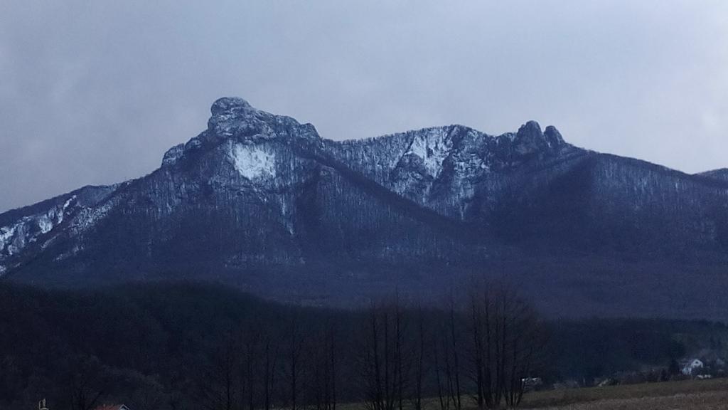 Apartman Gomirje Vrbovsko Buitenkant foto