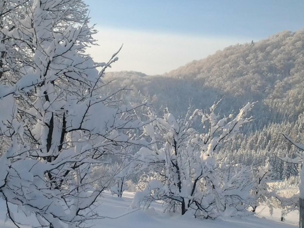 Apartman Gomirje Vrbovsko Buitenkant foto