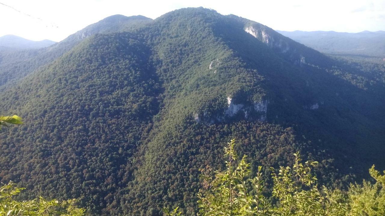 Apartman Gomirje Vrbovsko Buitenkant foto