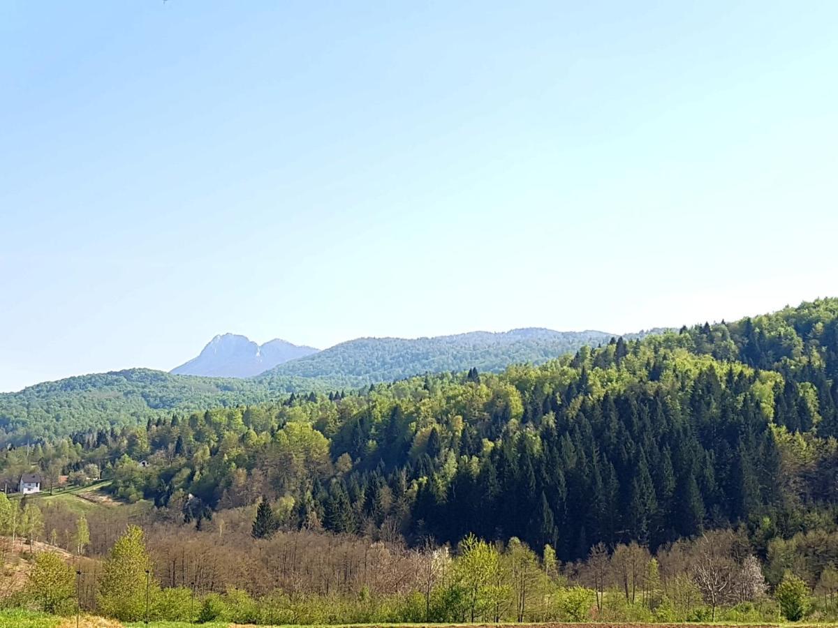 Apartman Gomirje Vrbovsko Buitenkant foto
